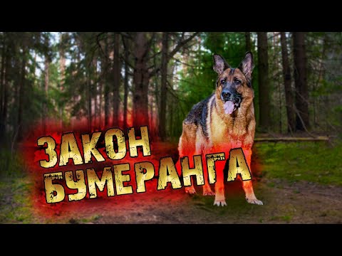 Видео: Его выкинули, как бесполезную вещь, но закон бумеранга ещё никто не отменял!