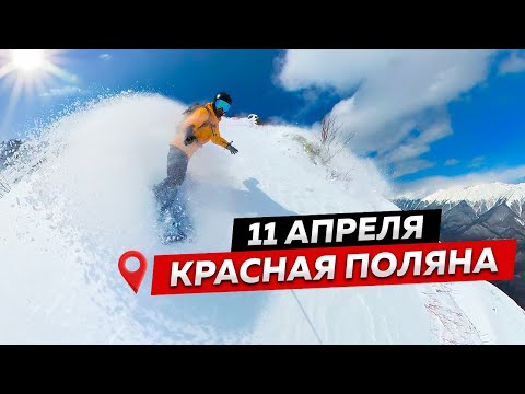 Видео: КУЧА СНЕГА В АПРЕЛЕ! ПАУДЕР ДЕЙ на Красной Поляне 🔥 Фрирайд Везде ПЕРВЫМ СЛЕДОМ
