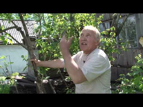 Видео: Консультант Cадовода на Усадьбе №"7