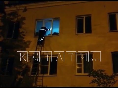 Видео: Кровавый приют для животных - соседей снизу заливает кровью и другими выделениями животных