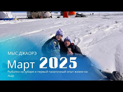 Видео: Джаорэ 2025. Рыбалка на зубаря и первый палаточный опыт жизни на льду