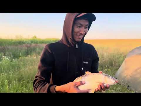 Видео: Шок цена 😱 Тастақ емес дала көлі екен достар. 40 000 мың тенгеге 5 келі балық прикинь😃🫣🧐😭😡