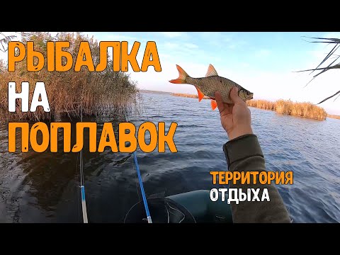 Видео: РЫБАЛКА НА ПОПЛАВОК | Красноперка на поплавок | Ловля красноперки на поплавок