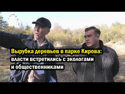 Видео: Вырубка деревьев в парке Кирова: власти встретились с экологами и общественниками