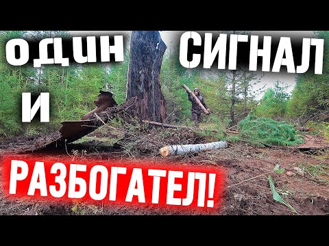 Видео: ЭТА НАХОДКА РЕШИЛА МОИ  ФИНАНСОВЫЕ ПРОБЛЕМЫ! МЕТАЛОКОП В ТАЙГЕ! МОЙ ЗАРАБОТОК!