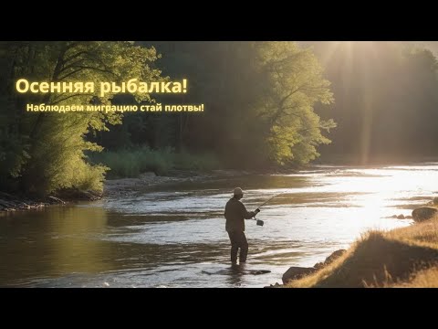 Видео: Осенняя рыбалка на Долобецком острове!Миграция плотвы!Есть ли грибы?!