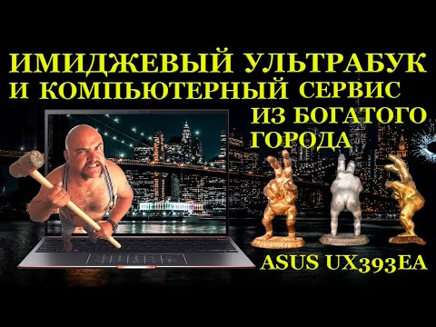 Видео: Имиджевый ASUS Zenbook UX393EA из богатого города и НЕ имиджевый компьютерный сервис оттуда же