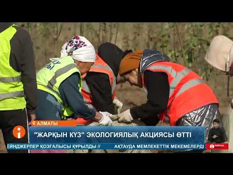 Видео: "Жарқын күз" атты жалпықалалық экоакция аясында қалада бір күнде 10 мыңнан астам  желек отырғызылды