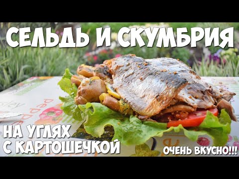 Видео: Вкусная рыба на углях в фольге (Сельдь и Скумбрия)