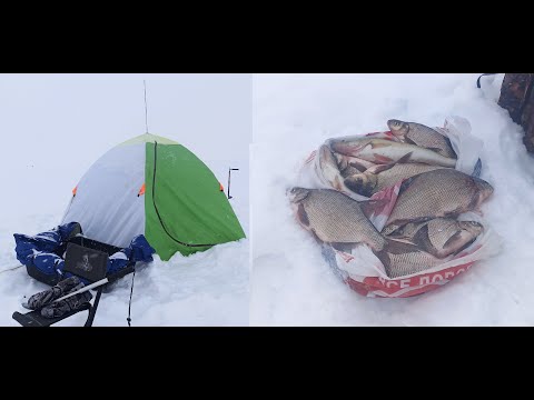 Видео: рыбалка 23.02.23 Белоярское водохранилище, 3-я заводь