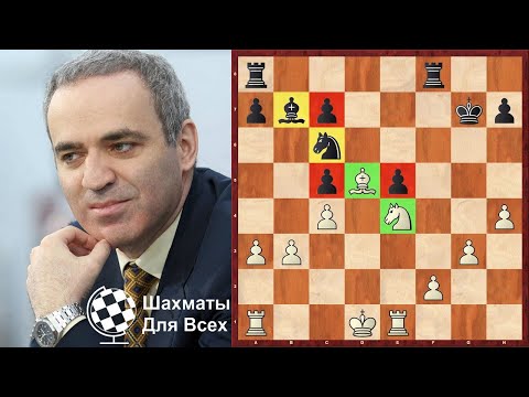Видео: Шахматы. Гарри Каспаров. Коронная ШОТЛАНДСКАЯ ПАРТИЯ!