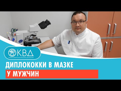 Видео: 125  Диплококки в мазке у мужчин