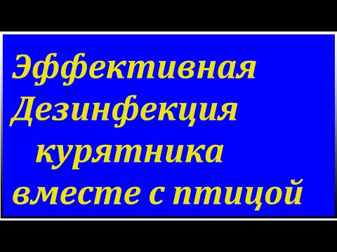 Видео: Дезинфекция курятника вместе с птицей !