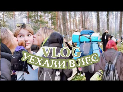 Видео: vlog: выезд в лес, квартирник | выходные