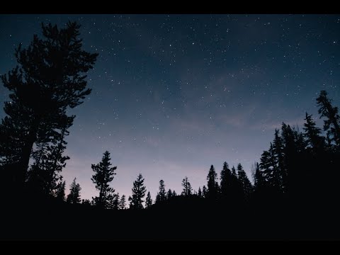 Видео: Стрекотание сверчков • Умиротворяющие Звуки Природы • naomix.ru