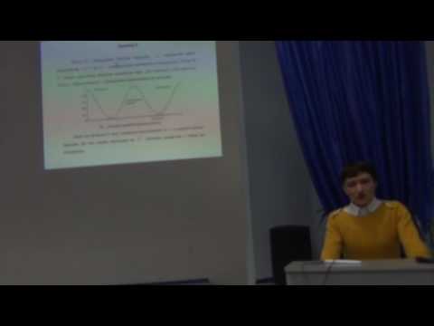 Видео: Применение теории нечетких множеств к моделированию в экономике