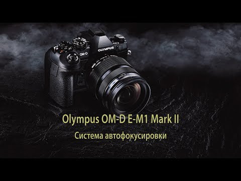 Видео: Olympus OM-D E-M1 Mark II - система автофокусировки