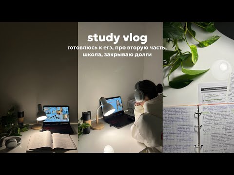 Видео: study vlog// готовлюсь к егэ, вторая часть по обществу, много тестов и вебинаров