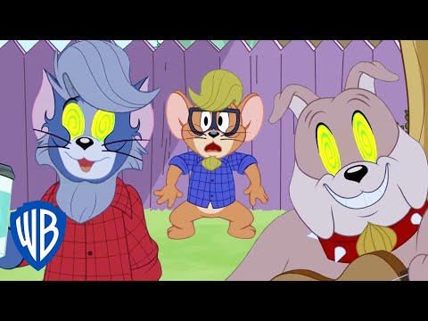 Видео: Том и Джерри | Том становится крутым | WB Kids