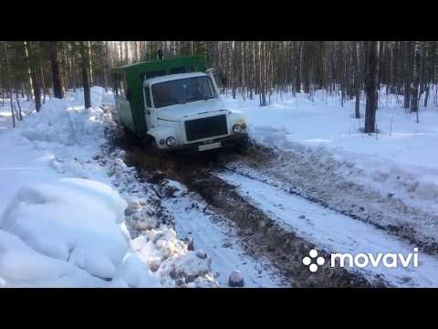 Видео: Дорога в новую делянку. ТдТ-55. Газ-3308.