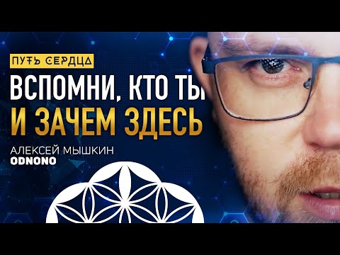 Видео: Искреннее служение как цель земной жизни