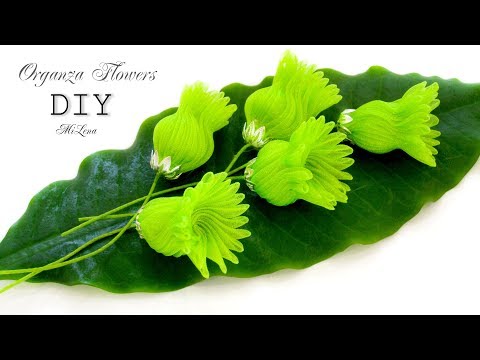 Видео: DIY MAGIC ORGANZA FLOWERS / ЦВЕТЫ ИЗ ОРГАНЗЫ, МК