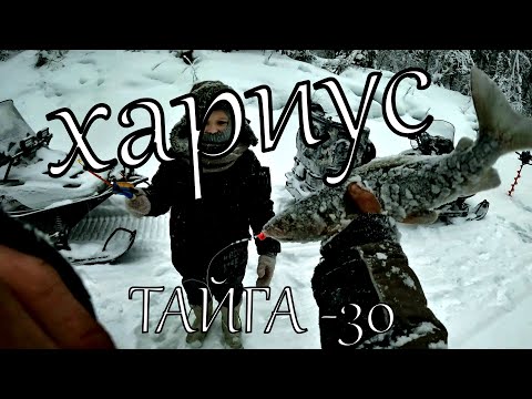 Видео: ЛОВЛЯ  КРУПНОГО ХАРИУСА ! БОЛЕЕ 100 КМ НА СНЕГОХОДЕ !МОРОЗ -30! ЖИВЕМ В ПАЛАТКЕ!