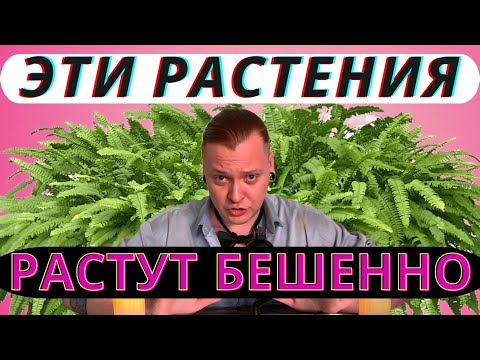 Видео: ДЖУНГЛИ ЗА МЕСЯЦ! 🌿 10 Самых Быстрорастущих Растений для Дома!