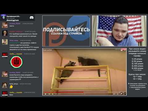 Видео: Маргинал про замещение хороших институтов