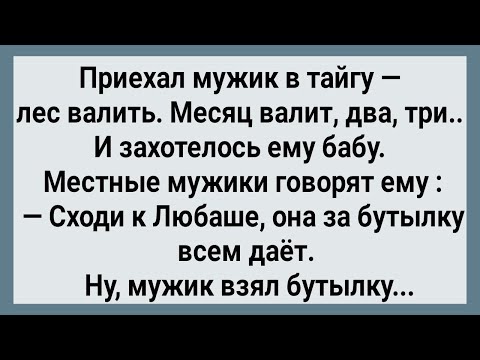 Видео: Как Мужик в Тайге к Любаше Ходил! Сборник Свежих анекдотов! Юмор!