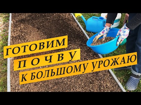 Видео: Подготовка почвы к зиме и следующему сезону. Осенние работы.
