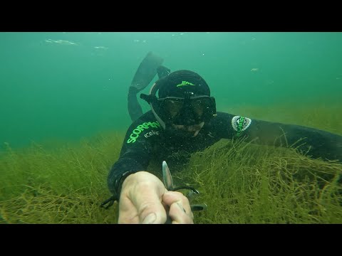 Видео: Шерубай нура.Не нашел зубастую, еще не время ))