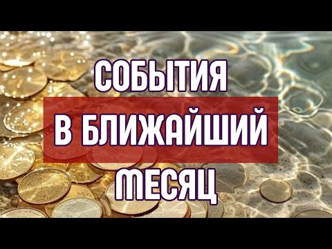 Видео: 😻НЕВЕРОЯТНЫЕ СОБЫТИЯ В ТЕЧЕНИИ МЕСЯЦА🤌🏼🌈