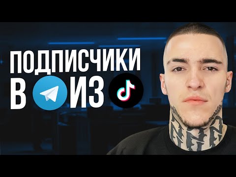 Видео: Подписчики в TELEGRAM канал из TikTok - ПОШАГОВЫЙ ПЛАН