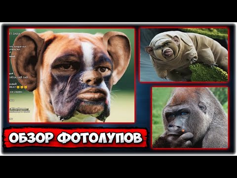 Видео: [ОБЗОР ФОТОЛУПОВ] всем бан! @GLADIATORPWNZ
