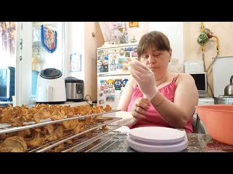 Видео: Даже и не смейте НЕ ДАМ В ОБИДУ Занимаюсь Делами Прогулка с Плюшкой Разборка с Лисичками Дегидратор