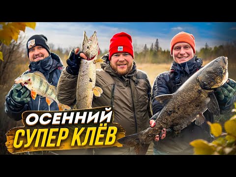 Видео: ОСЕННИЙ СУПЕР КЛЁВ. ОТЛОВИЛИСЬ ПО ПОЛНОЙ