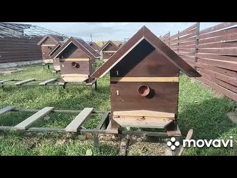Видео: #Мёд, почему его у вас нет(Эльфийский мёд из Кали-Юги) часть-1