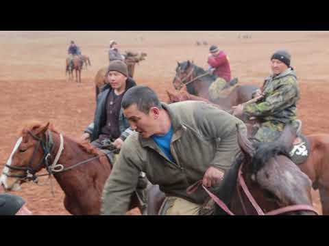 Видео: АЛАМАН УЛАК МУРДАШ ТОЛУГУ