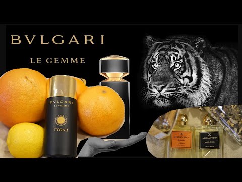 Видео: Tygar Bvlgari против Amur Tiger(Настоящий ТИГР только один)