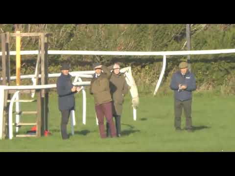 Видео: ГОНКА 2-at1320 PLUMPTON UK- это небольшая дилемма, и неясно, каким будет исход этой гонки.