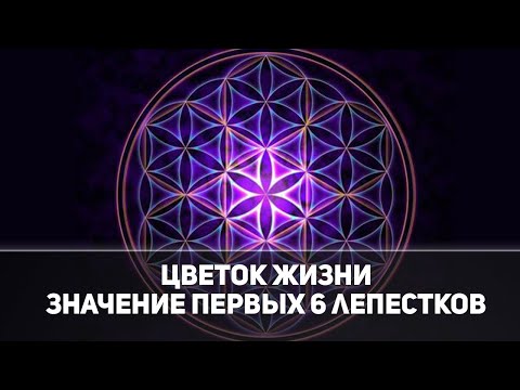 Видео: Цветок жизни. Значение первых шести лепестков.