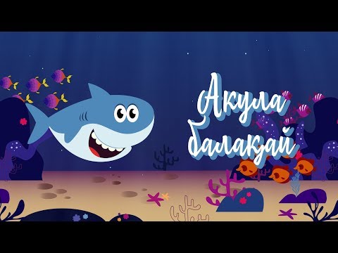 Видео: Акула балақай | Bilimland Kids | Малыш-акула