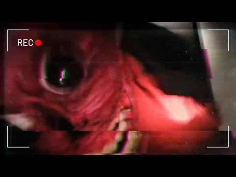 Видео: Vita Carnis - Очень Жуткий Аналоговый Хоррор