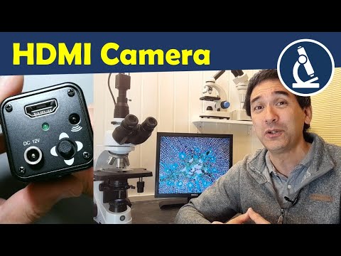 Видео: Подключение промышленной HDMI-камеры к микроскопу