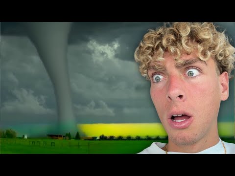 Видео: Самые безумные видео о природе