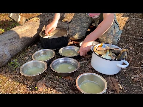 Видео: Уха из окуней