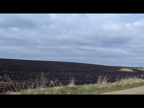 Видео: ПОШУК НА НОВИХ МІСЦЯХ! Розвідка з доволі непоганим результатом! Коп з xp deus II