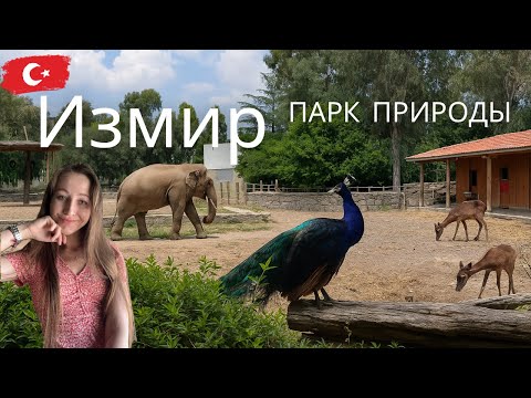 Видео: Правда ли, что здесь гуманное обращение с животными? Парк в Измире, Турция