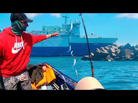 Видео: ОДИН ЗАБРОС И 5 РЫБ! НАРВАЛИСЬ НА КЛЕВ!